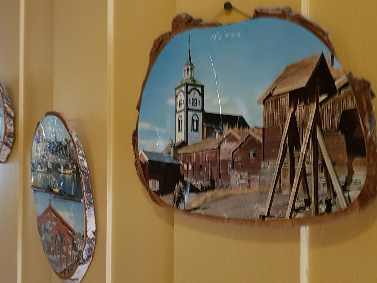 Solheim Pensjonat Røros Екстериор снимка